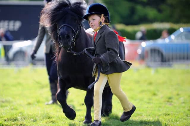 Five-year-old Phoebe Preston on her way to coming second in the Shetland Gelding class.
