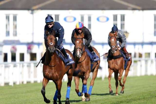 Wings Of Desire ridden by Frankie Dettori (centre) during the Investec Derby Breakfast with the Stars, at Epsom Downs.