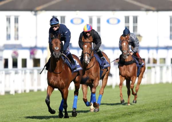 Wings Of Desire ridden by Frankie Dettori (centre) during the Investec Derby Breakfast with the Stars, at Epsom Downs.