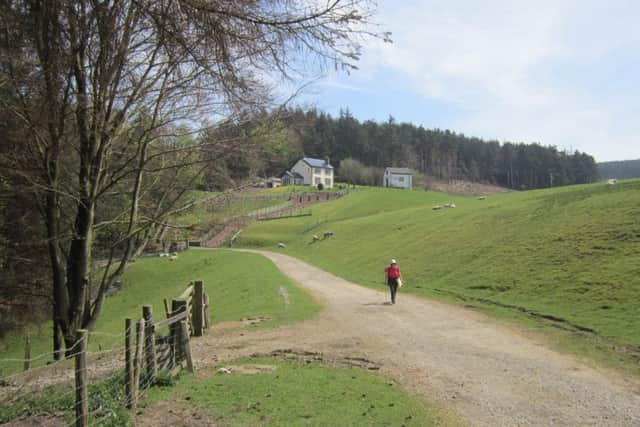 Walking below the embankment of Elslack Reservoir with Standrise House in background.