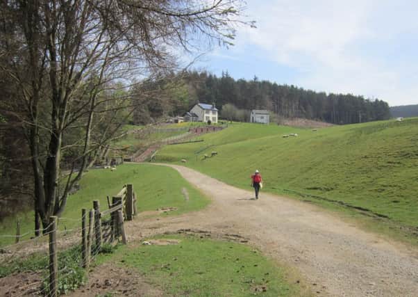 Walking below the embankment of Elslack Reservoir with Standrise House in background.