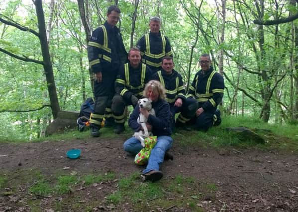 Members of the Technical Rescue Team with Steph Wade and Fred in Bramley Fall Woods. Pictures courtesy of West Yorkshire Fire and Rescue Service.