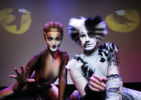 Andrew Lloyd Webber's musical Cats is coming to Leeds.