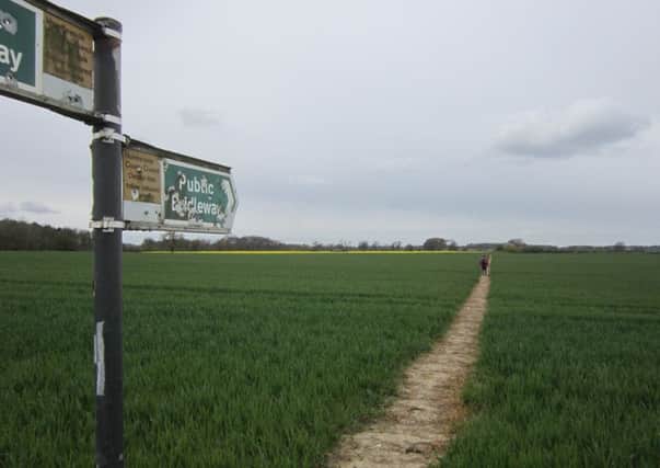 The fine path left by the farmer across a crop field near Lakes Farm.