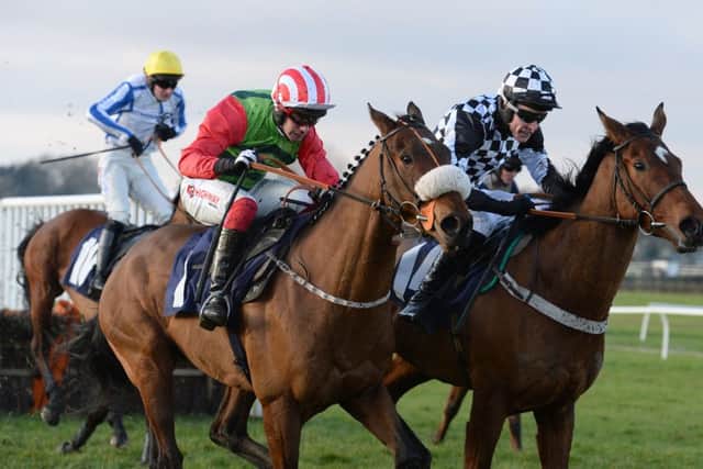 John Smith's Northumberland Plate contender Seamour.