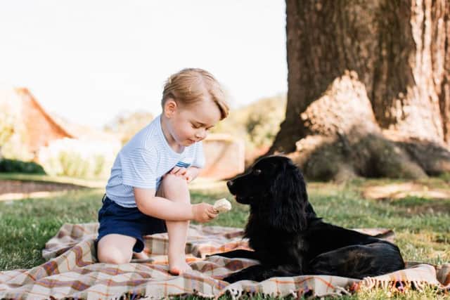 Undated handout photo released by the Duke and Duchess of Cambridge of Prince George, who celebrates his third birthday today with the family pet, Lupo.
