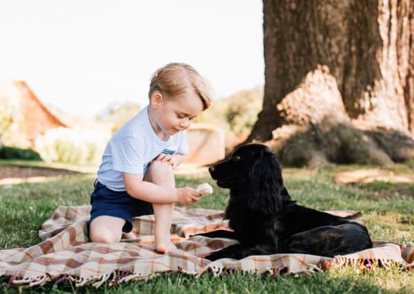 Undated handout photo released by the Duke and Duchess of Cambridge of Prince George, who celebrates his third birthday today with the family pet, Lupo.