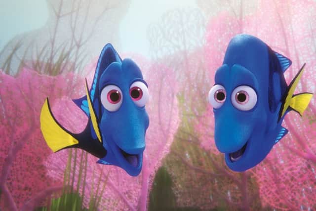 Undated Film Still Handout from Finding Dory. See PA Feature FILM Reviews. Picture credit should read: PA Photo/Disney/Pixar. WARNING: This picture must only be used to accompany PA Feature FILM Reviews.