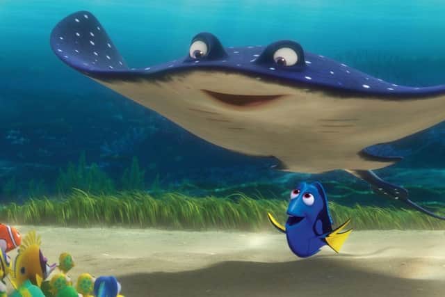 Undated Film Still Handout from Finding Dory. See PA Feature FILM Reviews. Picture credit should read: PA Photo/Disney/Pixar. WARNING: This picture must only be used to accompany PA Feature FILM Reviews.