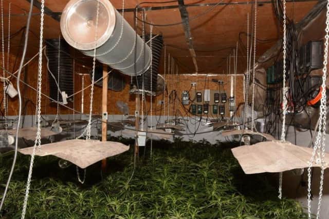 The cannabis farm was discovered in Leeds.