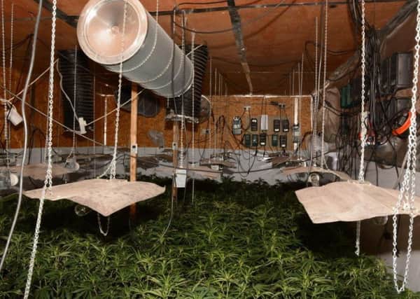 The cannabis farm was discovered in Leeds.