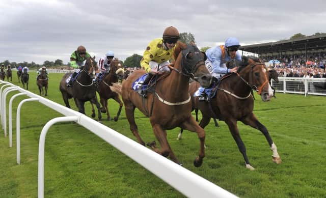 The William Hill Silver Trophy Handicap at Ripon Racecourse       Photo: John Giles/PA Wire.