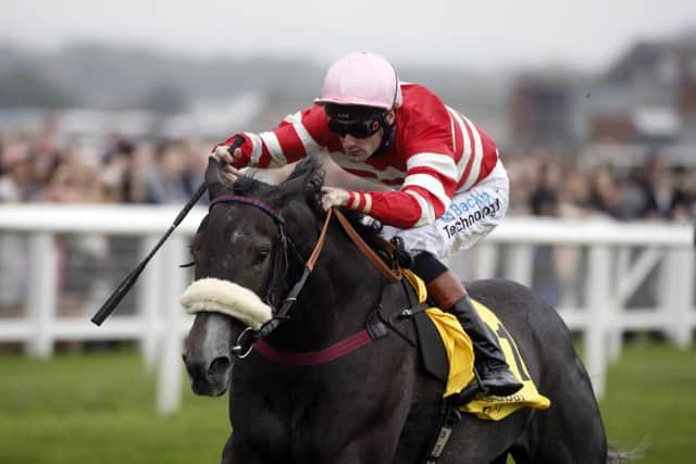 Mecca's Angel ridden by Paul Mulrennan.