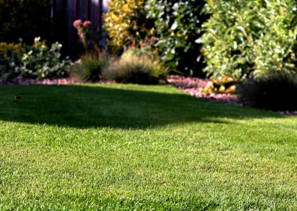 GREEN WITH ENVY: Hard work in the dying days of summer will keep your lawn healthy.
