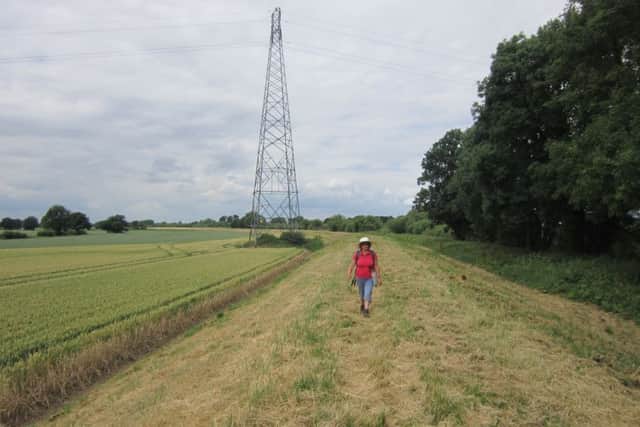 Easy does it... gentle strolling along the Ouse floodbank.