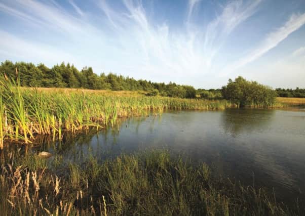 TRANQUIL PLACE: Ledston Luck, near Kippax, has been recognised as a Local Nature Reserve.