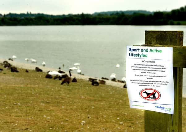 HARMFUL: A warning notice about the algae was in place next to the lake at Pugneys last week.