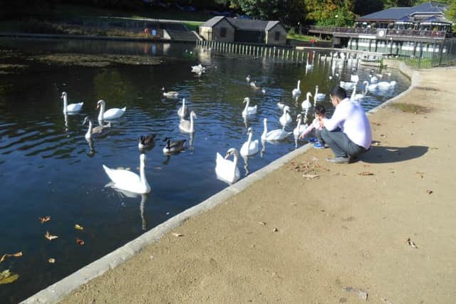 STAY ACTIVE: Plenty of people suggested Roundhay Park as the ideal place to stay fit.