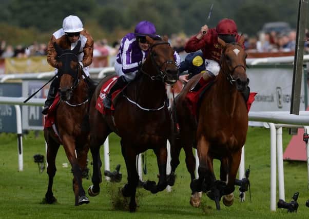 Simple Verse (far right) contesting last year's St Leger.