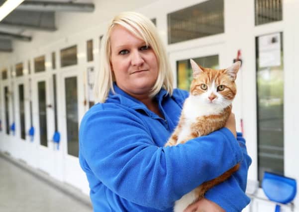 Deputy manager Catherine Hubbard pictured at Gildersome Cats Protection.
