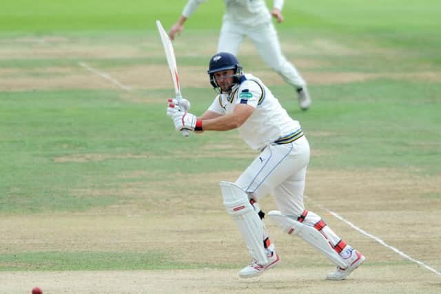 Tim Bresnan leads Yorkshire's fight to get up to 350