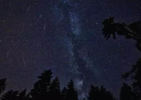 Don't miss Halley's night-time spectacle