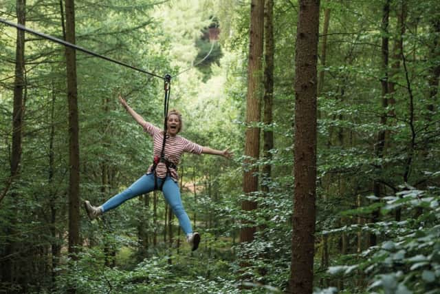 The Go Ape attraction in North Yorkshire's Dalby Forest