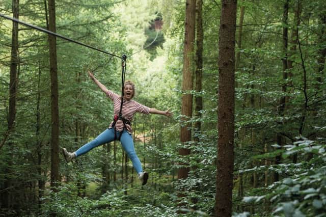 The Go Ape attraction in North Yorkshire's Dalby Forest