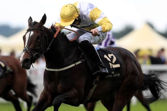 Quiet Reflection winning the Commonwealth Cup under jockey Dougie Costello.