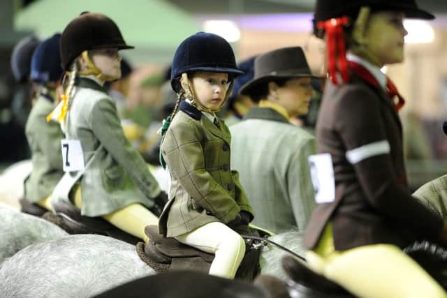 Equine classes were among the returning favourite features at the 14th Countryside Live held at the Great Yorkshire Showground in Harrogate.