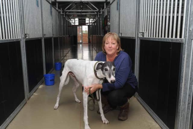 Tia Dog Rescue nr Doncaster
 Deb Rothery, with a former greyhound
oct 2016