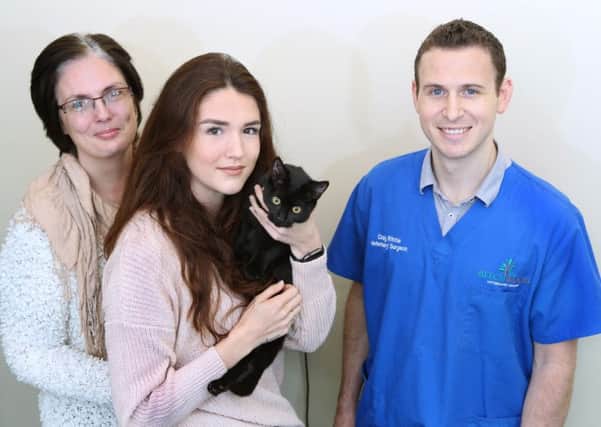 Kitten Poppy with owner Michelle Murray-Wood and daughter Georgina, from Holbeck, Leeds, along with Beechwood Vets veterinary surgeon Craig Ritchie.