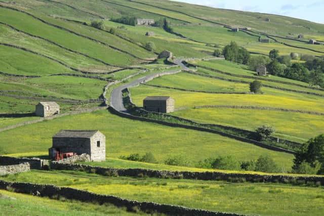 Pictured barns and walls within Upper Swaledale within the conservation area. PIC: Yorkshire Dales National Park Authority