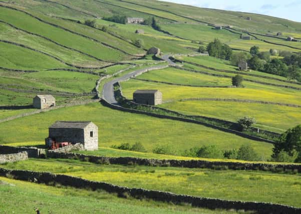 Pictured barns and walls within Upper Swaledale within the conservation area. PIC: Yorkshire Dales National Park Authority