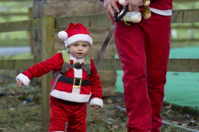 Young Santa Harris Adams, 14 months from Leeds, approaching the Enchanted Forest. PIC: James Hardisty