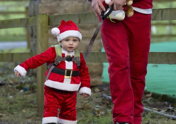 Young Santa Harris Adams, 14 months from Leeds, approaching  the Enchanted Forest. PIC: James Hardisty
