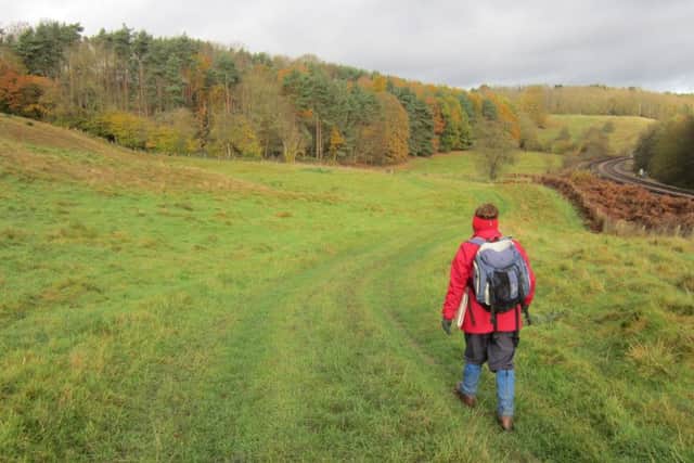 Striding through the valley of the River Derwent with the York-Scarborough railway on the right.