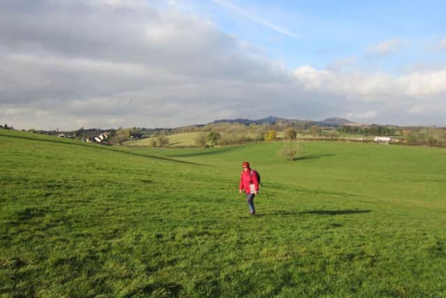 DALES VISTA: Up the fields on crossing the Skipton bypass on the way into Skipton with Flasby Fell on skyline.