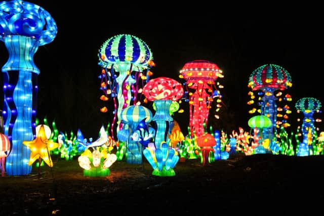 24 November 2016.......    Magical Lantern Festival in Tropical World and Roundhay Park, Leeds.  Picture Tony Johnson.