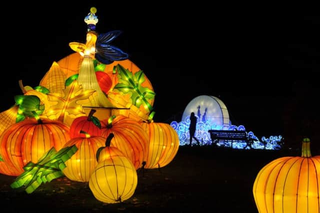 24 November 2016.......    Magical Lantern Festival in Tropical World and Roundhay Park, Leeds.  Picture Tony Johnson.
