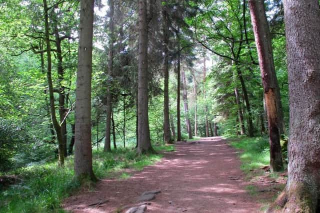 Weekend WalkCrimsworth Dean and Hardcastle CragsOne of the paths through the woodland at Hardcastle Crags