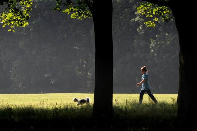 A lady walking her dog in the grounds of Temple Newsam House, Leeds.