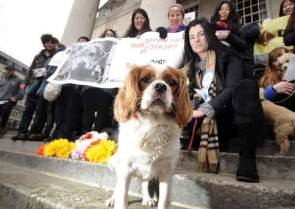 VIGIL: Campaigners pictured outside Leeds Civic Hall on Sunday. PIC: Simon Hulme