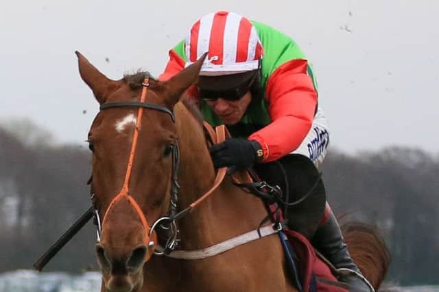 Definitly Red ridden by Richard Johnson in the Albert Bartlett Novices Hurdle Race.