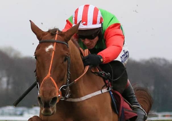Definitly Red ridden by Richard Johnson in the Albert Bartlett Novices Hurdle Race.