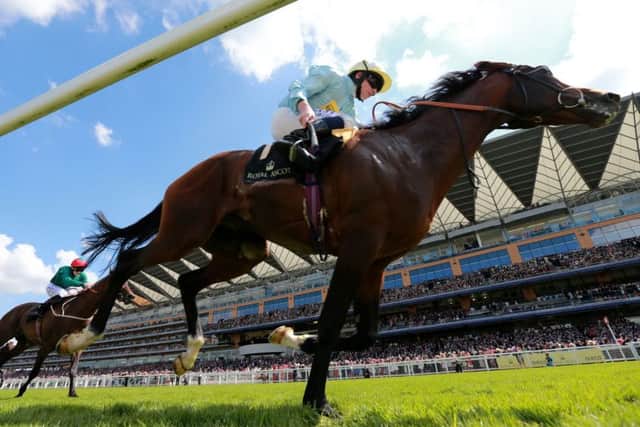Arab Spring, ridden by Ryan Moore, on their way to victory in Duke of Edinburgh Stakes back in 2014.