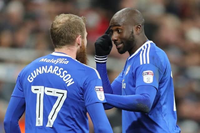 Cardiff City's Sol Bamba.