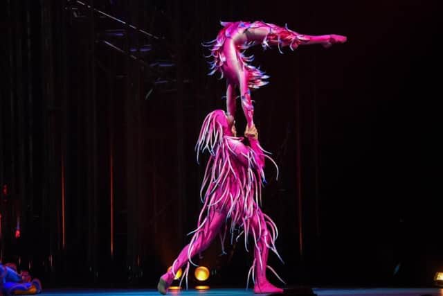 Yorkshire gymnast Emily McCarthy in Cirque du Soleil's spectacular Varekai, Tales of The Forest - at Sheffield Arena from Thursday to Sunday, February 2 to 5.