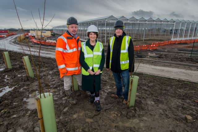 NEW: Site manager Jonathan Davis, Coun Lucinda Yeadon and landscape manager Paul Ackroyd.