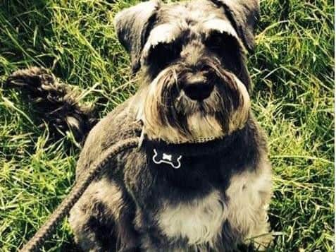 Alfie